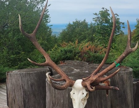 wta_2463_IMG-20220926-WA0008