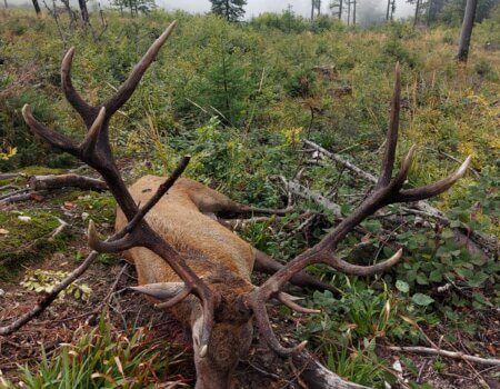 wta_2463_IMG-20230925-WA0017