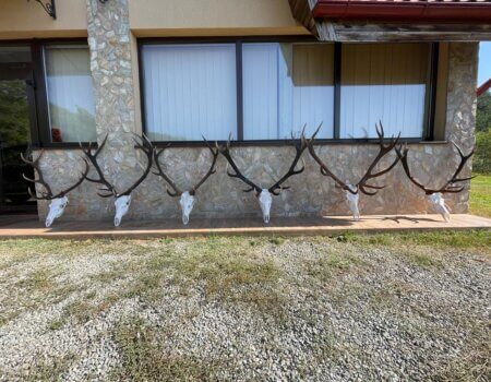 wta_2463_IMG-20231030-WA0033