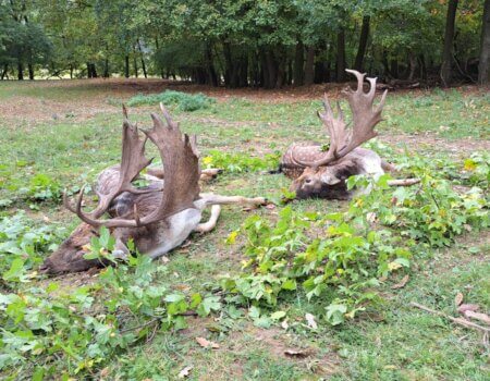 wta_2466_6f8c010f-84f0-4bd6-8103-32ff42322997