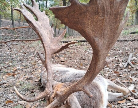 wta_2466_6ff70566-678b-4789-92ce-71497822ccb2