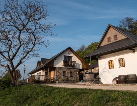 wta_2466_8da9bdb9-2356-47b0-8b03-5f1b51d06dbb