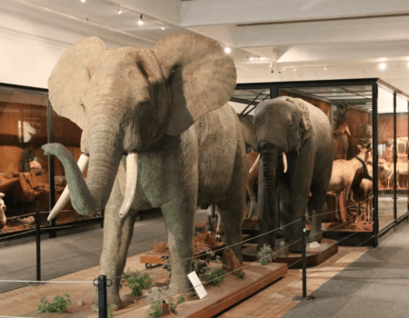 wta_2467_Cape Town Cultural 4