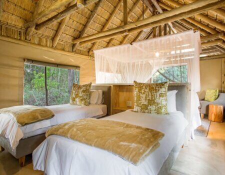 wta_2469_Bateleur-16