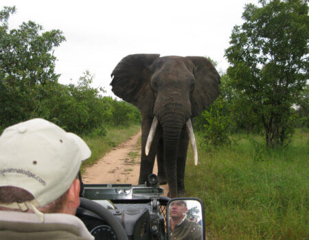 wta_2469_Timbavati-17