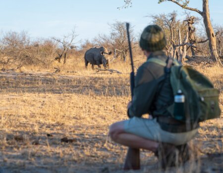 wta_2469_Timbavati-18