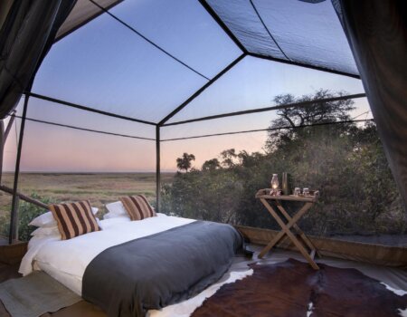 wta_2470_Linyanti-Expeditions-_5