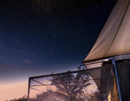 wta_2470_Linyanti-Expeditions-_6 (1)