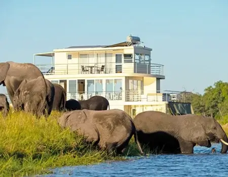 wta_2471_Chobe-Princess 1