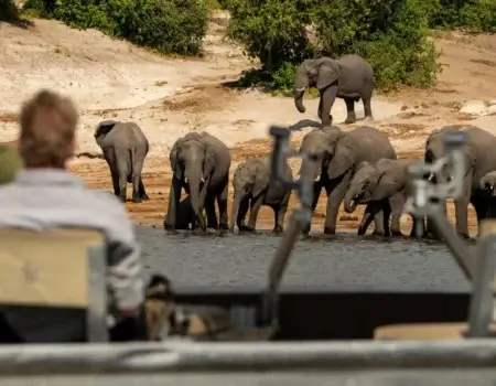 wta_2471_Chobe-Princess 6