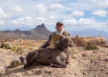 Arizona’s Deer/Sheep Deadline: That’s a Wrap on the Draw Season!
