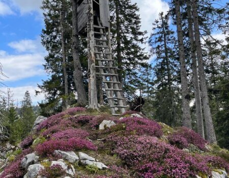 wta_2480_WhatsApp Image 2024-05-10 at 10.59.50 (2)