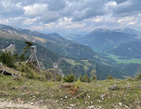 wta_2480_WhatsApp Image 2024-05-10 at 10.59.50