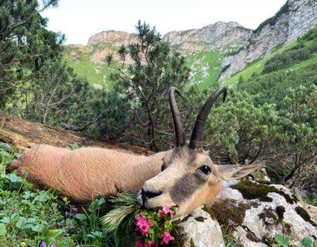 wta_2480_WhatsApp Image 2024-05-10 at 10.59.50 (5)