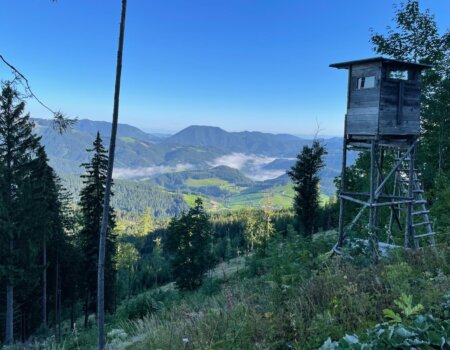 wta_2480_WhatsApp Image 2024-05-10 at 10.59.52 (2)