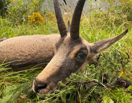 wta_2480_WhatsApp Image 2024-05-10 at 10.59.52 (3)