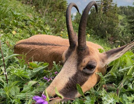 wta_2480_WhatsApp Image 2024-05-10 at 10.59.52