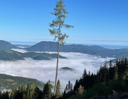 wta_2480_WhatsApp Image 2024-05-10 at 10.59.52 (6)