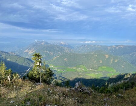 wta_2480_WhatsApp Image 2024-05-10 at 10.59.53