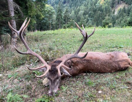 wta_2480_WhatsApp Image 2024-05-10 at 10.59.53 (2)