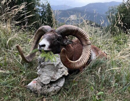 wta_2480_WhatsApp Image 2024-05-10 at 10.59.53 (3)