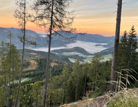 wta_2480_WhatsApp Image 2024-05-10 at 10.59.53 (5)