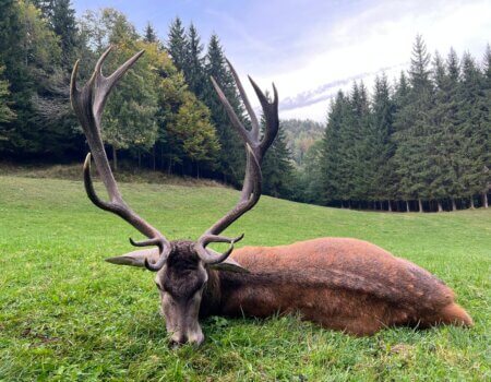 wta_2480_WhatsApp Image 2024-05-10 at 10.59.53 (6)