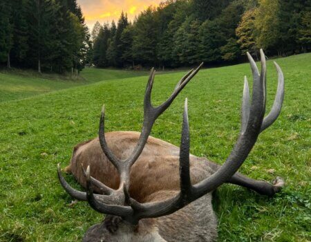 wta_2480_WhatsApp Image 2024-05-10 at 10.59.53 (7)