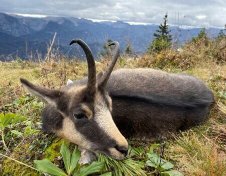 wta_2480_WhatsApp Image 2024-05-10 at 10.59.53 (8)