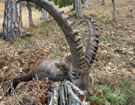 wta_2480_WhatsApp Image 2024-05-10 at 11.02.52