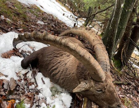 wta_2480_WhatsApp Image 2024-05-10 at 11.05.32