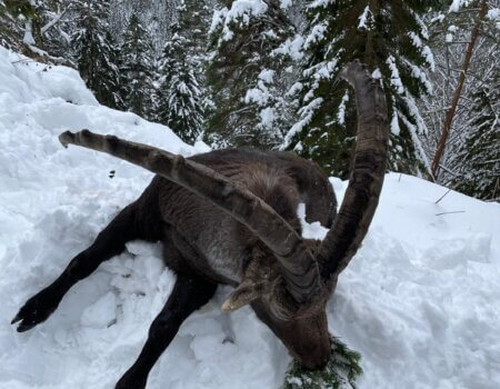 wta_2480_WhatsApp Image 2024-05-10 at 11.07.55