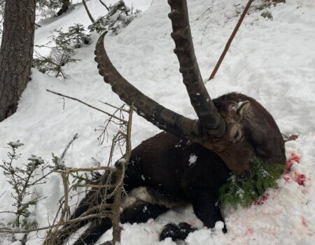 wta_2480_WhatsApp Image 2024-05-10 at 11.07.55 (2)