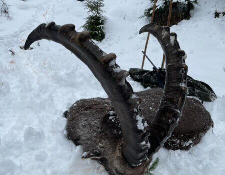 wta_2480_WhatsApp Image 2024-05-10 at 11.10.22