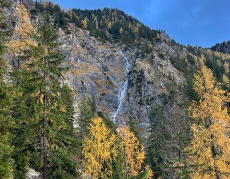 wta_2480_WhatsApp Image 2024-05-10 at 11.13.51