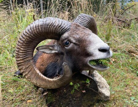 wta_2480_WhatsApp Image 2024-05-10 at 11.17.58