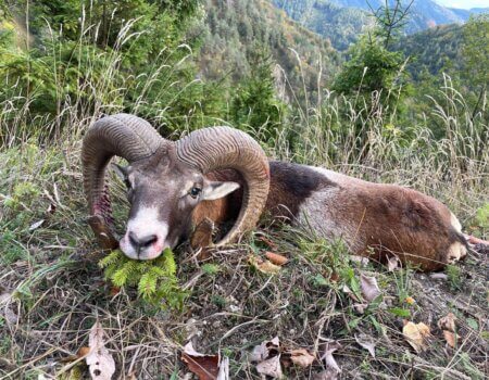 wta_2480_WhatsApp Image 2024-05-10 at 11.19.32