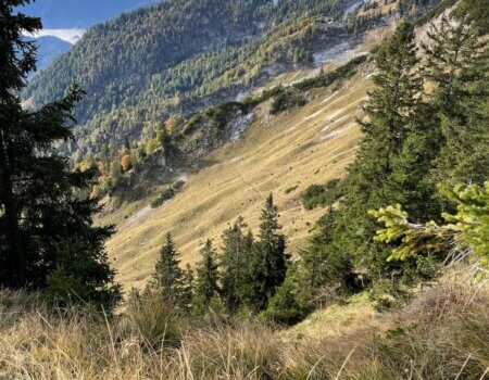 wta_2480_WhatsApp Image 2024-05-10 at 11.23.19