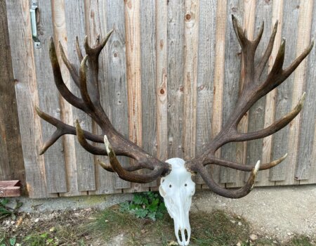 wta_2480_WhatsApp Image 2024-05-10 at 11.23.44