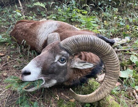 wta_2480_WhatsApp Image 2024-05-10 at 11.24.40