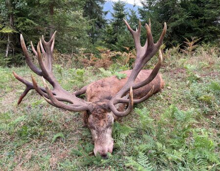 wta_2480_WhatsApp Image 2024-05-10 at 11.26.51