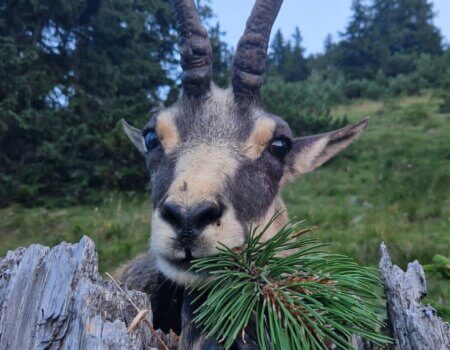 wta_2480_WhatsApp Image 2024-05-10 at 11.32.44