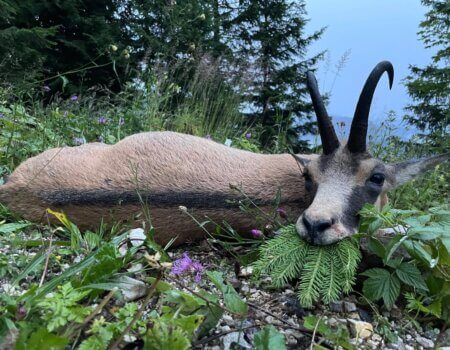 wta_2480_WhatsApp Image 2024-05-10 at 11.34.17