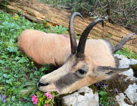 wta_2480_WhatsApp Image 2024-05-10 at 11.37.25