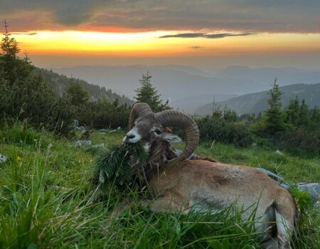 wta_2480_WhatsApp Image 2024-05-10 at 11.39.07