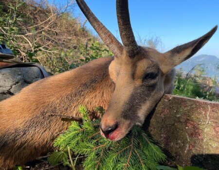 wta_2480_WhatsApp Image 2024-05-10 at 11.40.27