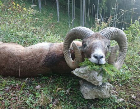 wta_2480_WhatsApp Image 2024-05-10 at 11.45.27