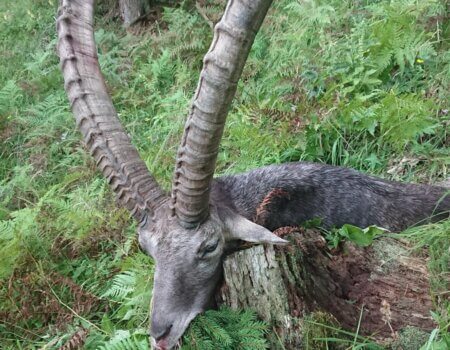 wta_2480_WhatsApp Image 2024-05-10 at 11.47.48