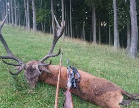 wta_2480_WhatsApp Image 2024-05-10 at 11.49.50