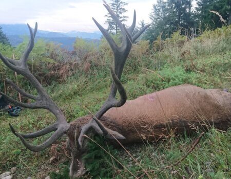 wta_2480_WhatsApp Image 2024-05-10 at 11.50.23